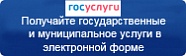 Портал государственных и муниципальных услуг в электронной форме Портал государственных и муниципальных услуг в электронной форме