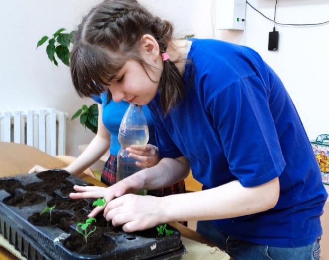 Подготовка к огородному сезону