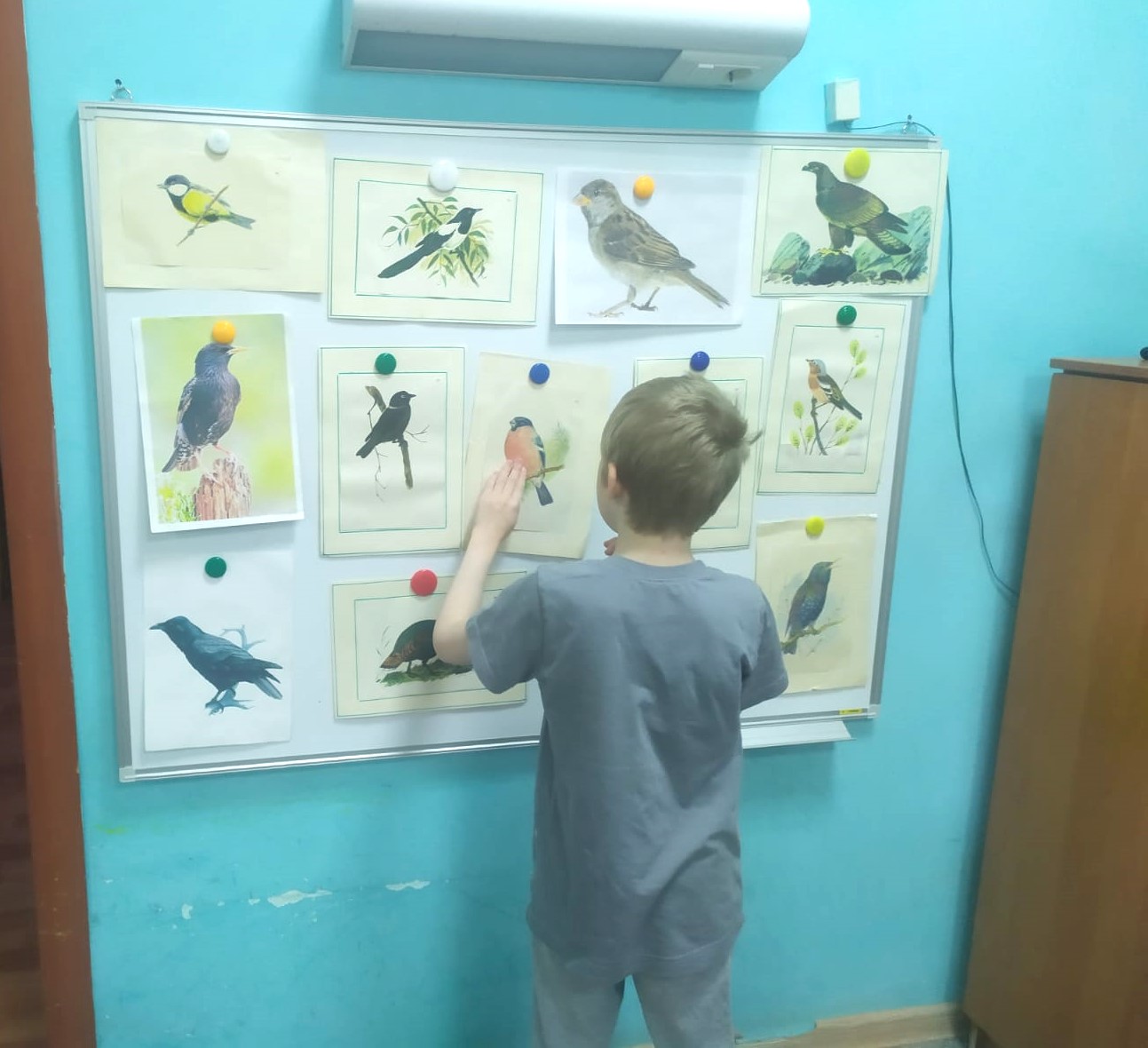 Знакомство с пернатыми
