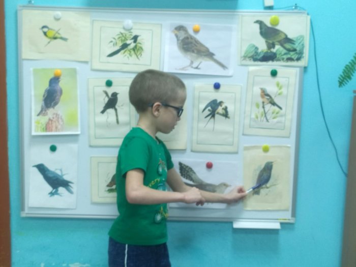 Знакомство с пернатыми