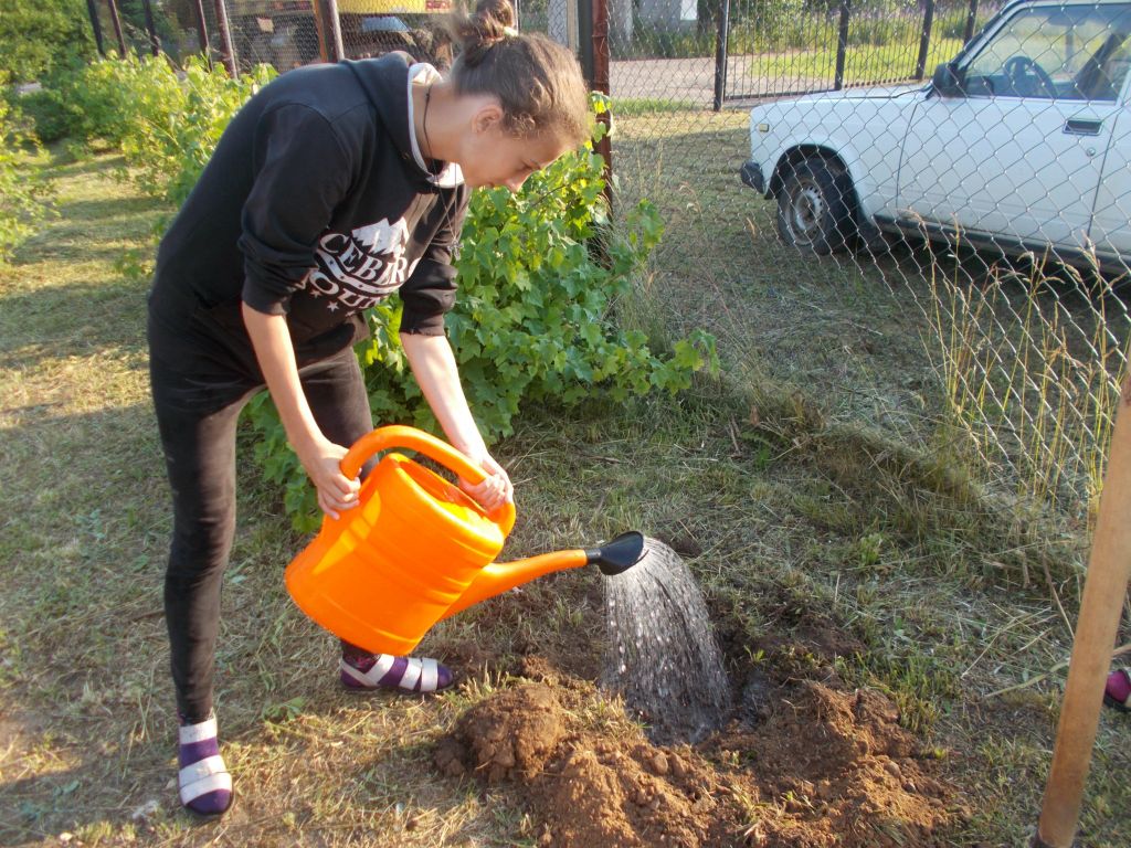 Трудовой десант