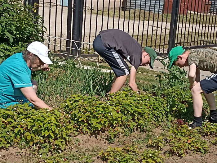 Огородные работы