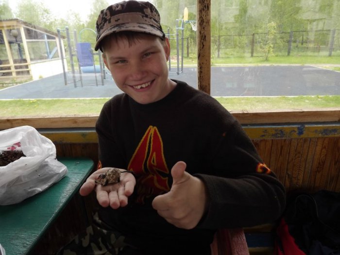 "Шишкин день"