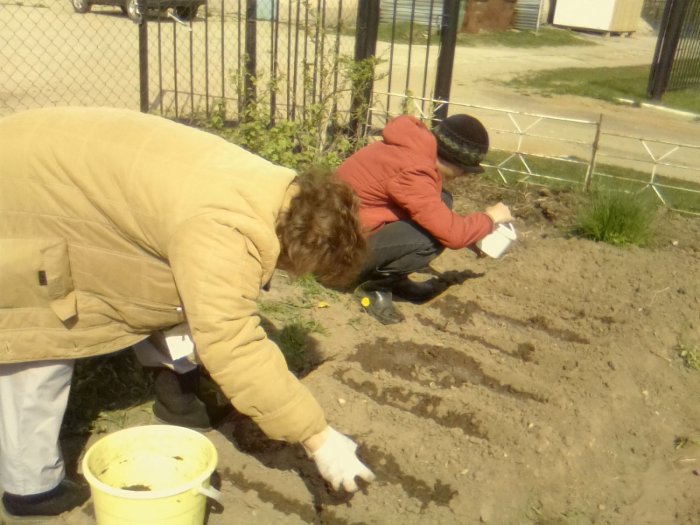 Садово-огородные работы