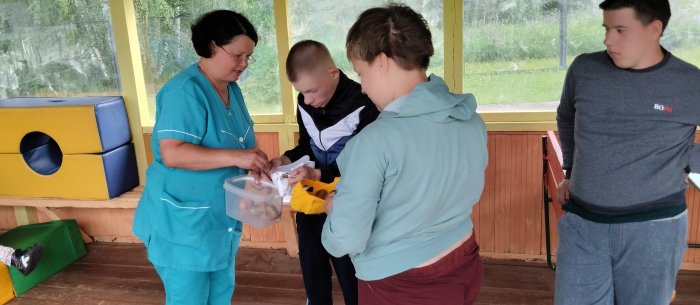 "На лесной полянке"