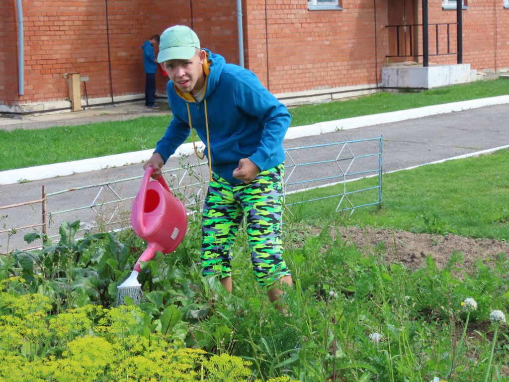 Урожай