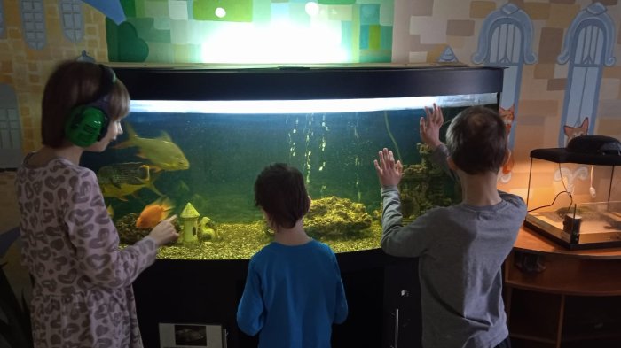 Наблюдение за окружающим миром