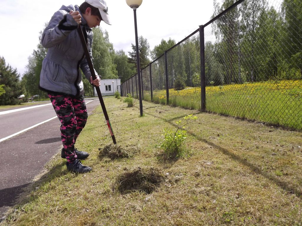 Садово-огородные работы