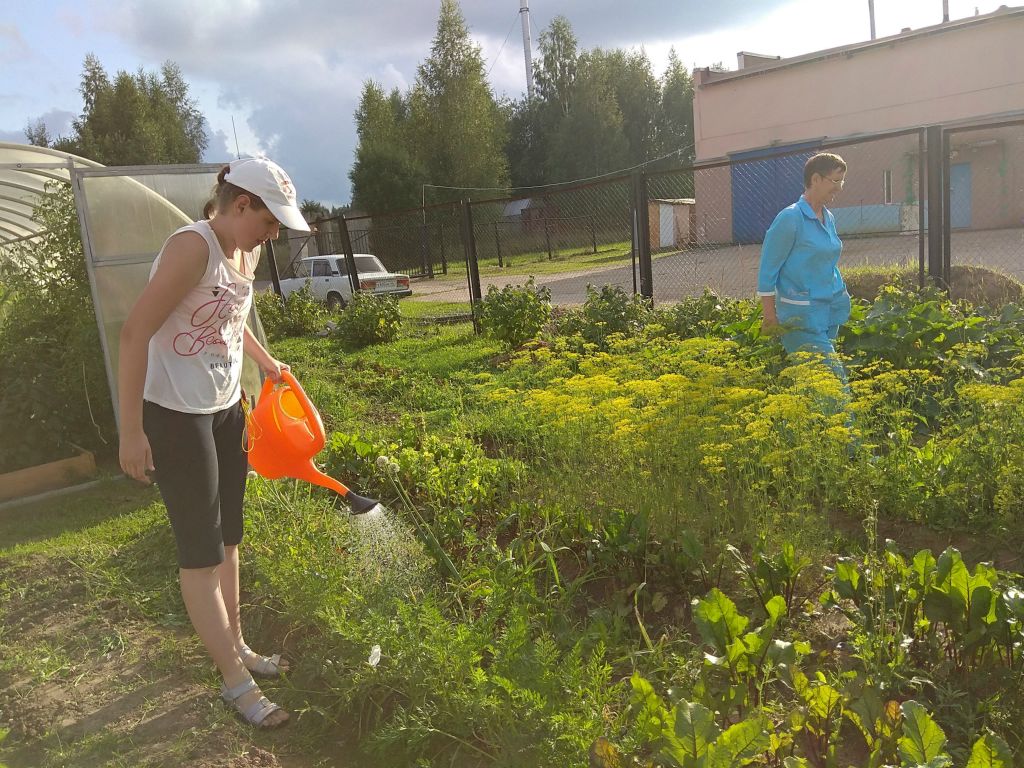 Садово-огородные работы