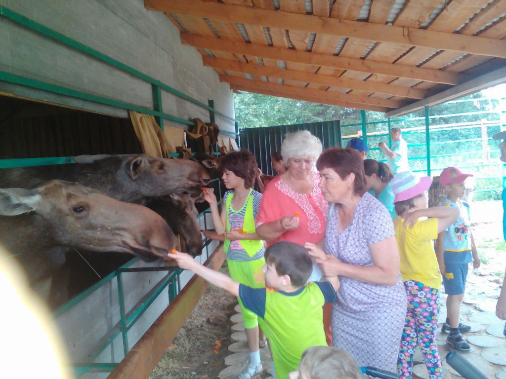 Поездка на лосеферму