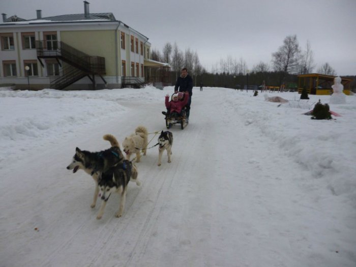 Катание на собачьих упряжках