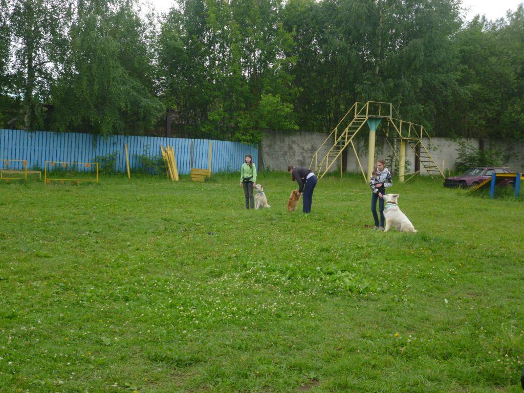Поездка в питомник