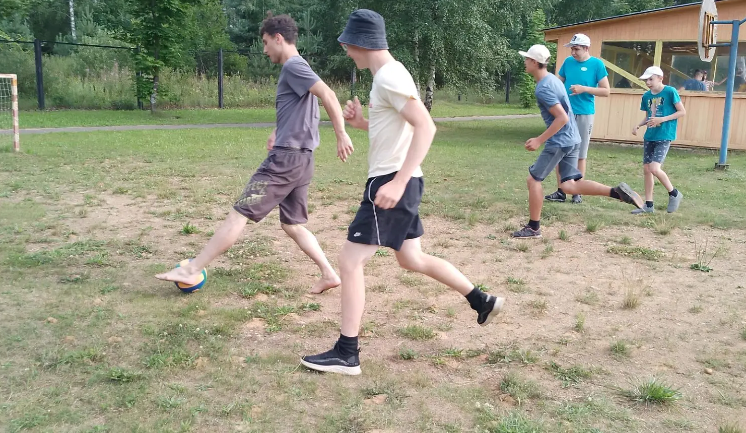 Новые друзья