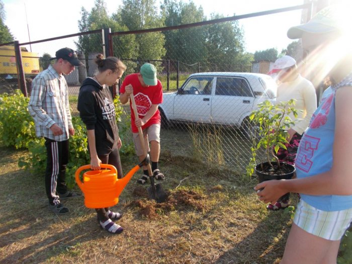 Трудовой десант
