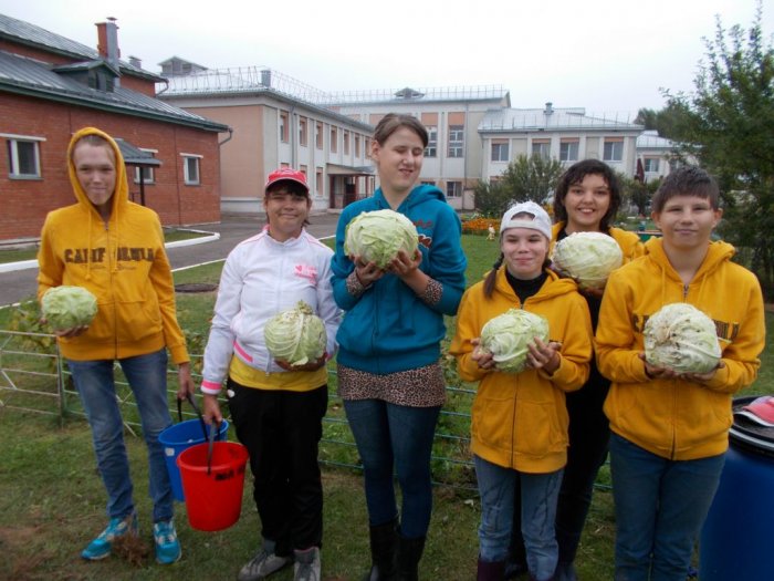 Трудовой десант