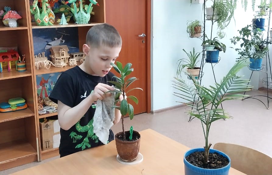 Уход за цветами