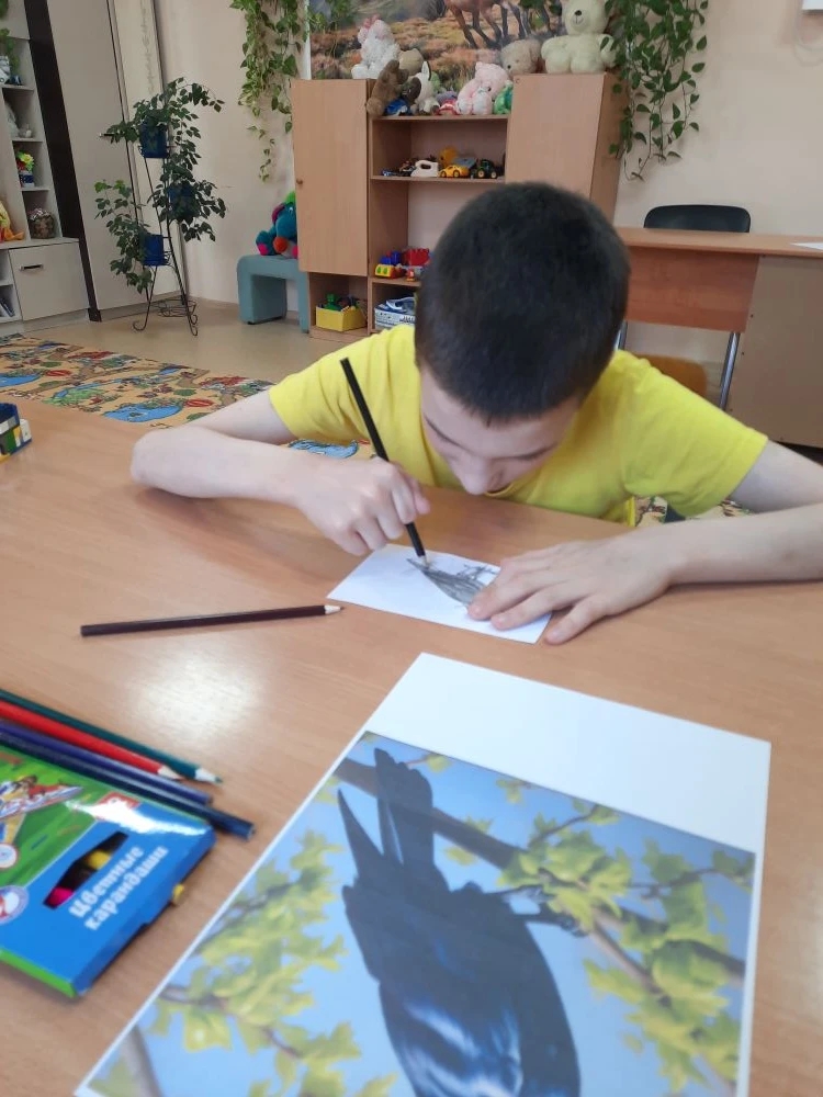 Грачи прилетели