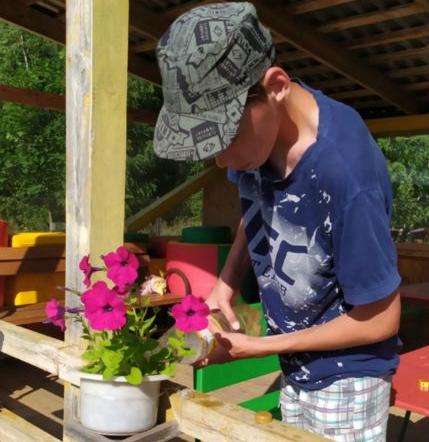 Трудовое воспитание