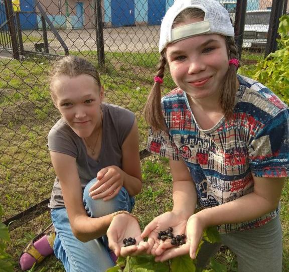 Садово-огородные работы