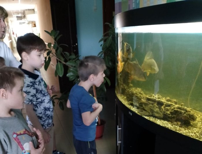 Знакомство с аквариумными рыбками