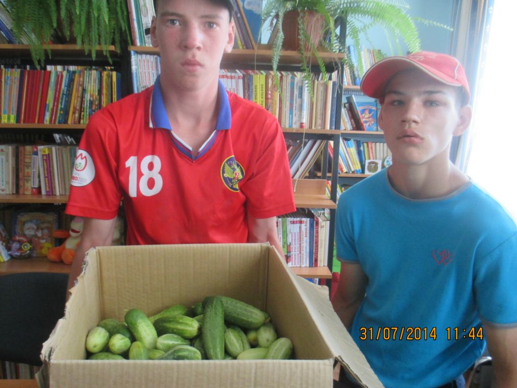 Сбор урожая