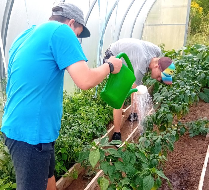 Труд в теплице