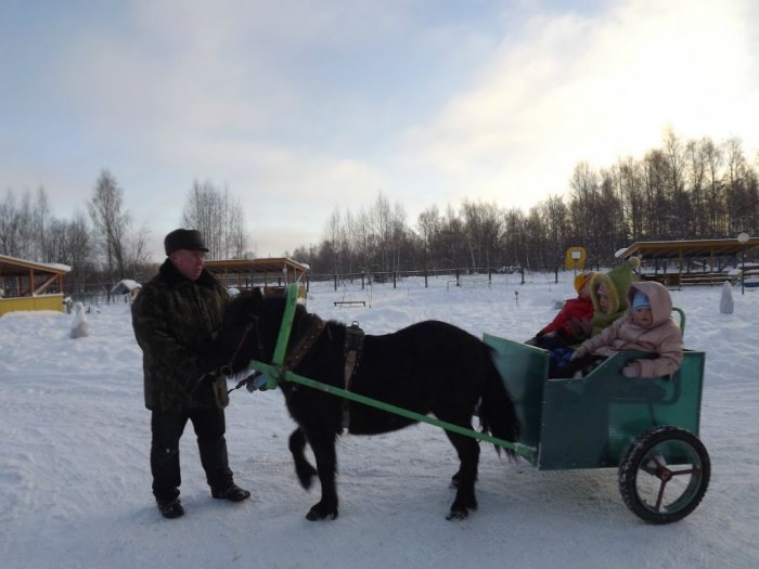 День инвалида