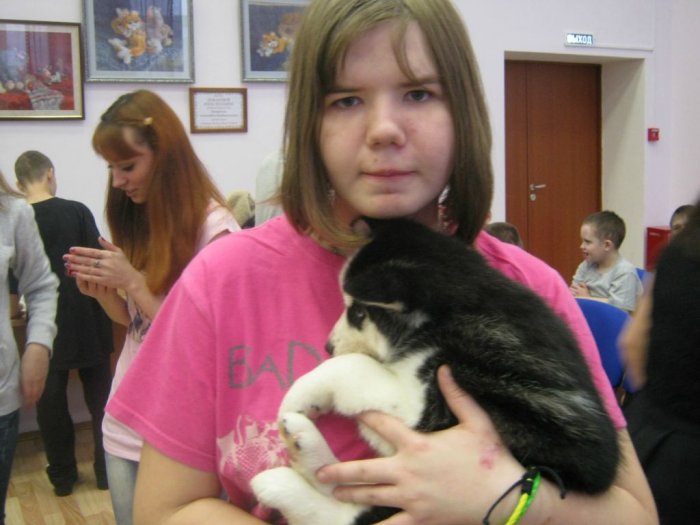 Хаски детям