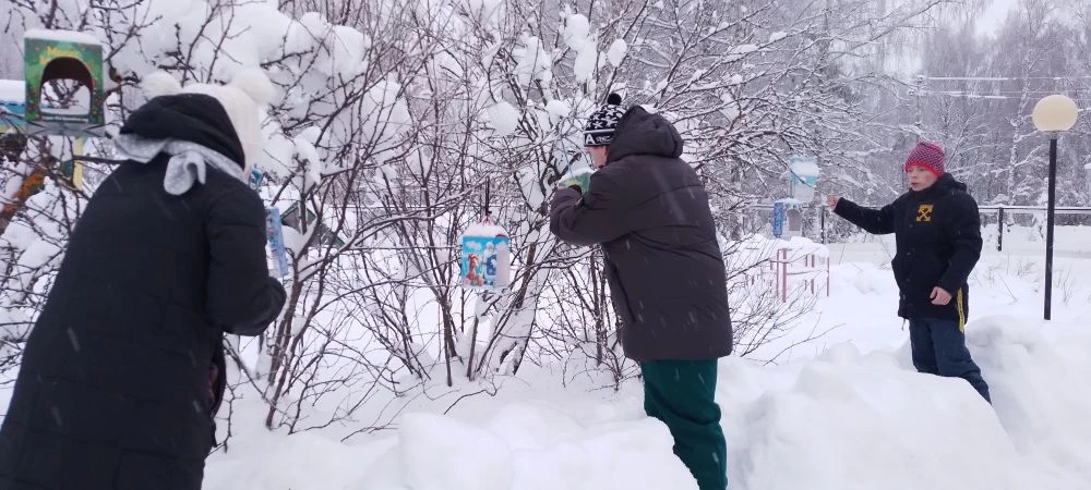 Забота о пернатых