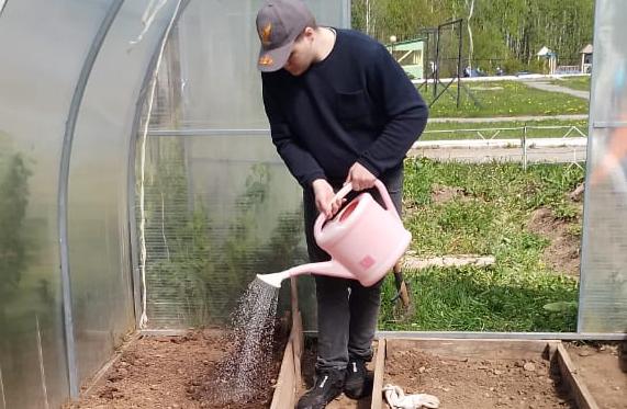 Огородные работы