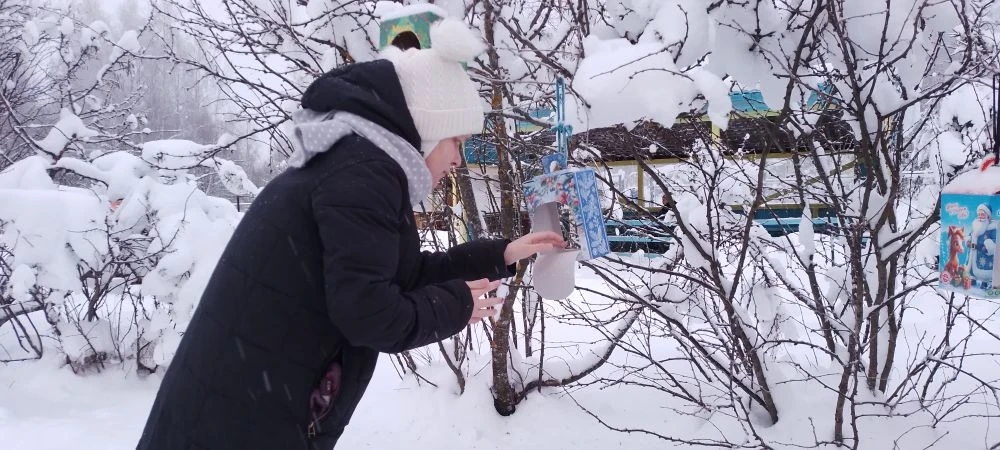 Забота о пернатых