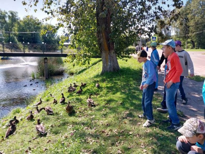 Поездка в город
