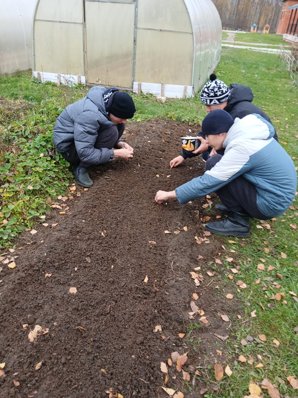Чеснок посажен!