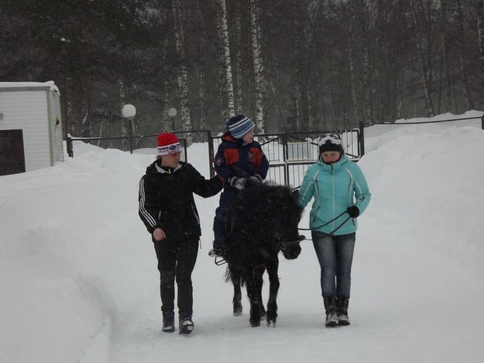 Иппотерапия