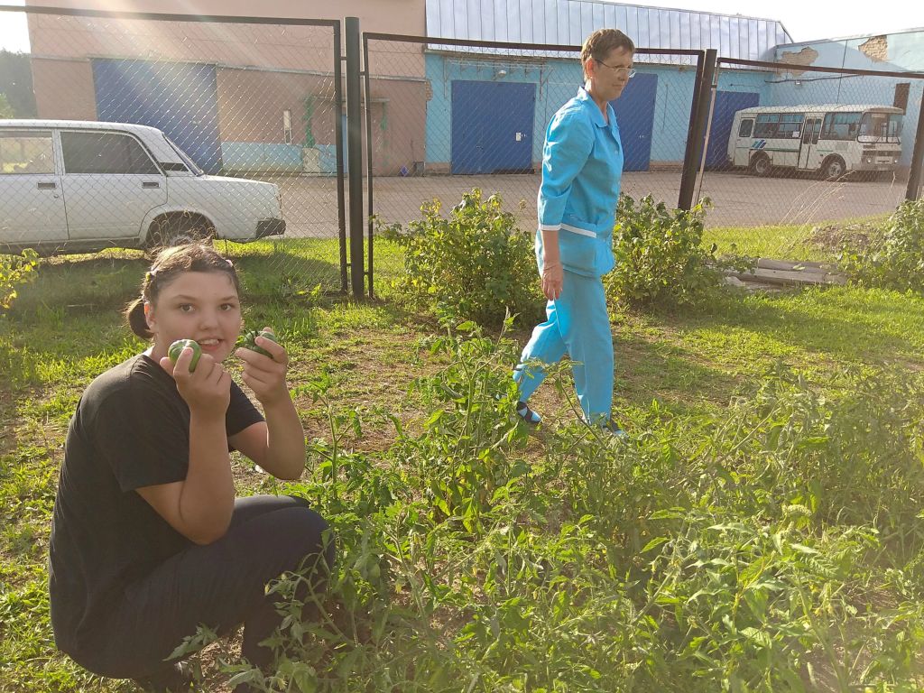Садово-огородные работы
