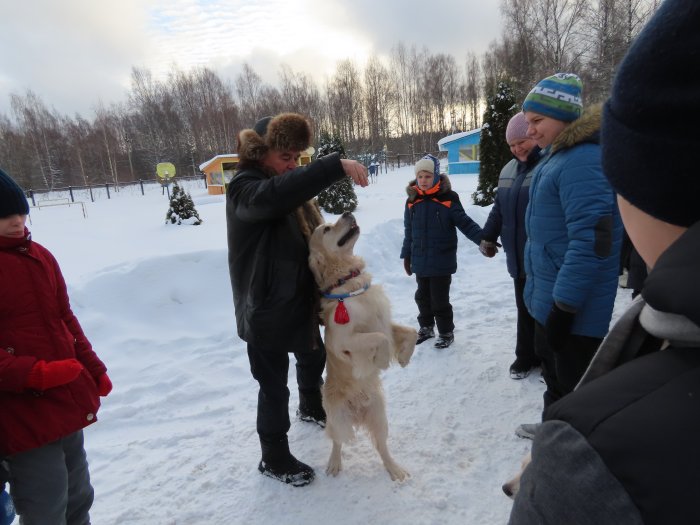 Четвероногие друзья