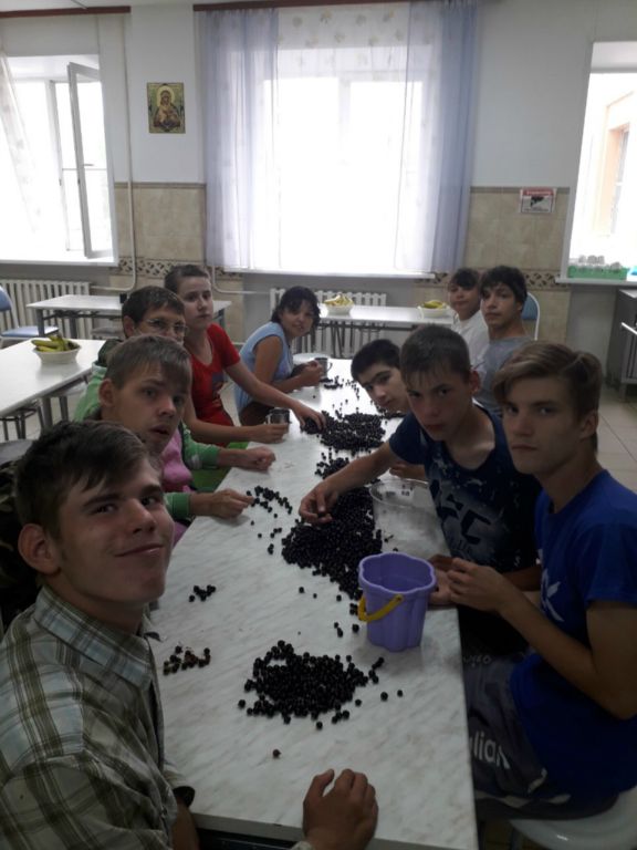 Урожай