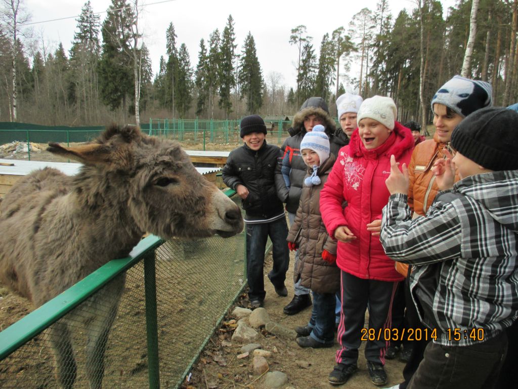 Поездка в зоопарк
