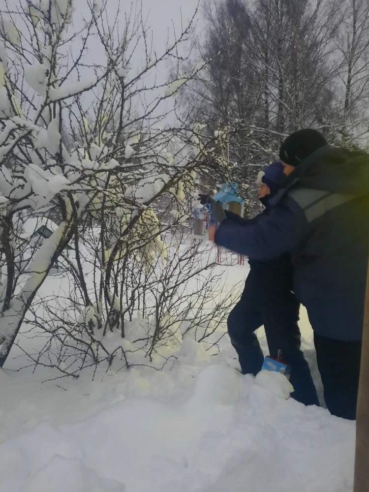 Птичья столовая