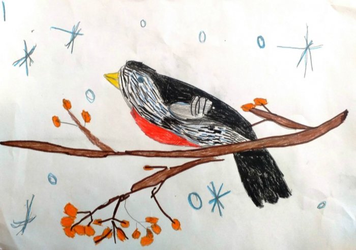 Конкурс рисунков