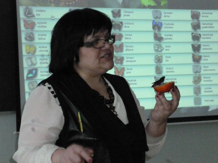 Бабочки у нас в гостях