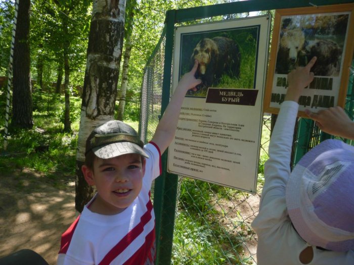 Поездка в Костромской зоопарк