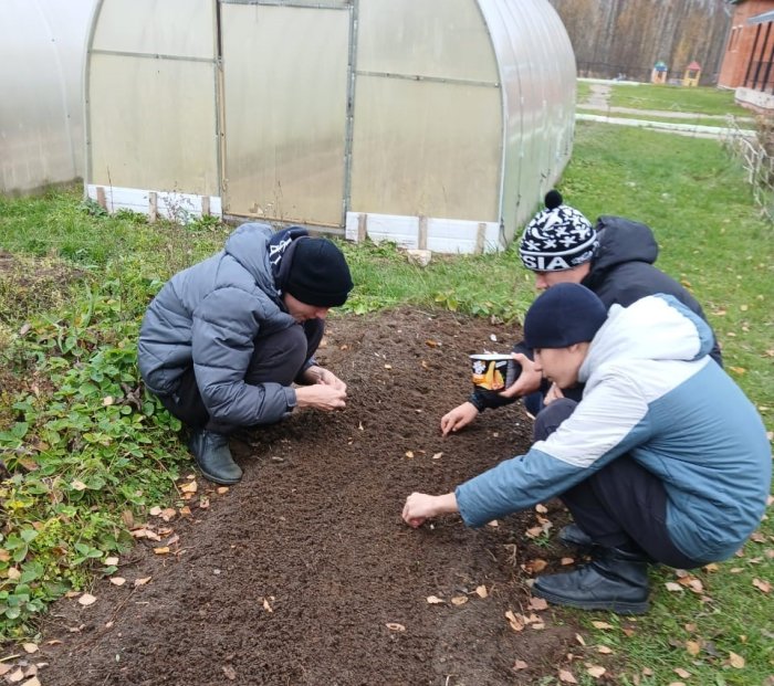 Чеснок посажен!