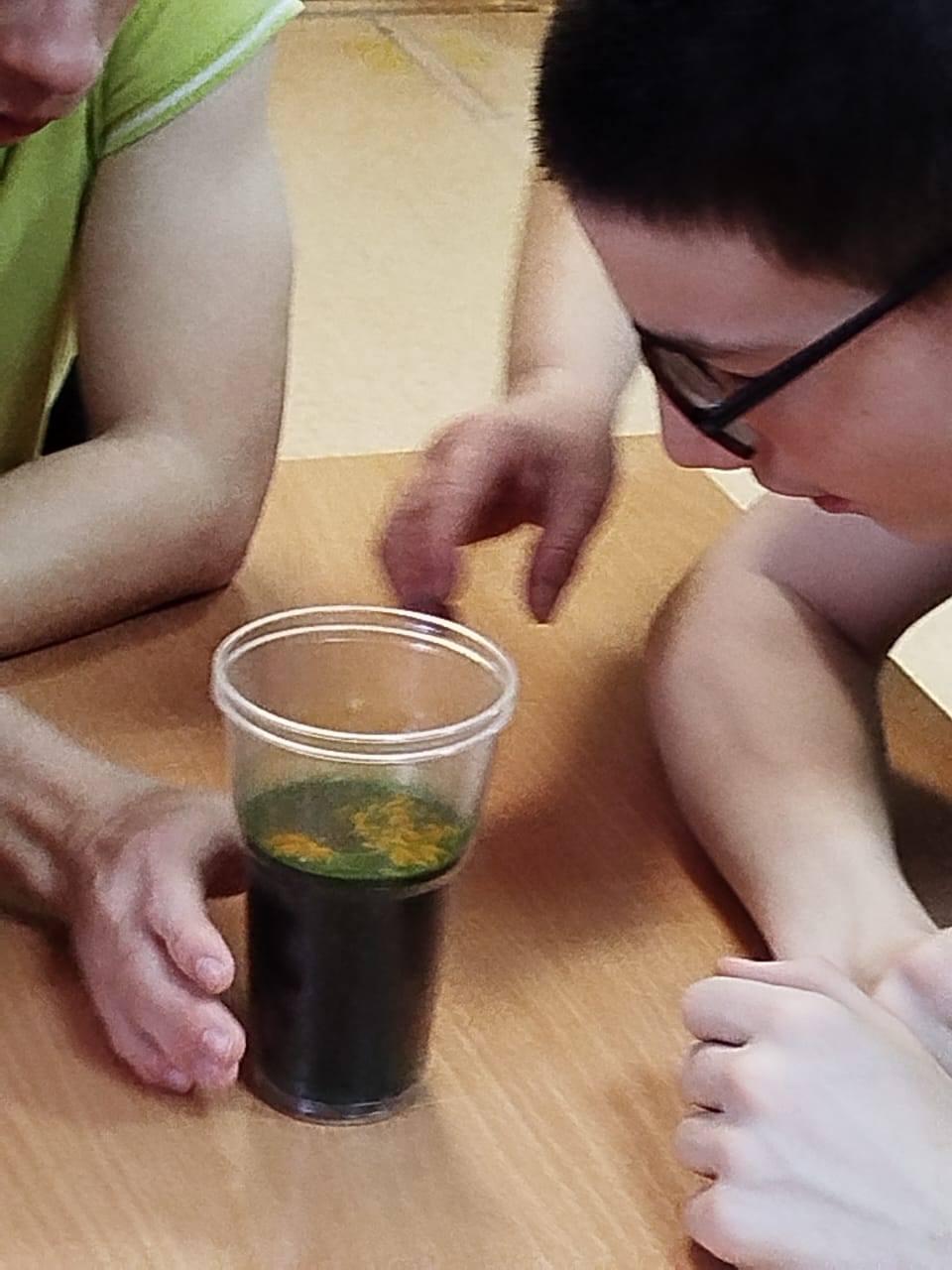 День науки для детей и юношества.