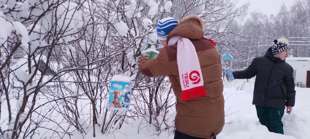 Забота о пернатых