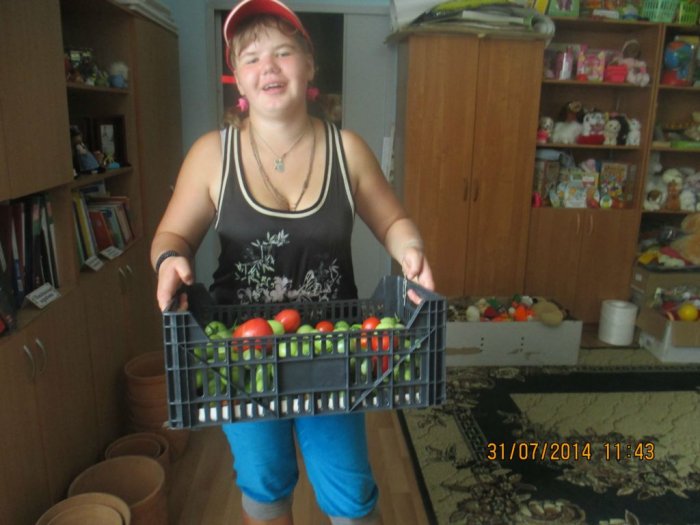 Сбор урожая