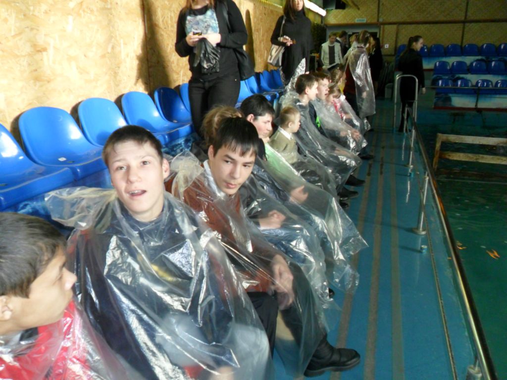 Поездка в дельфинарий
