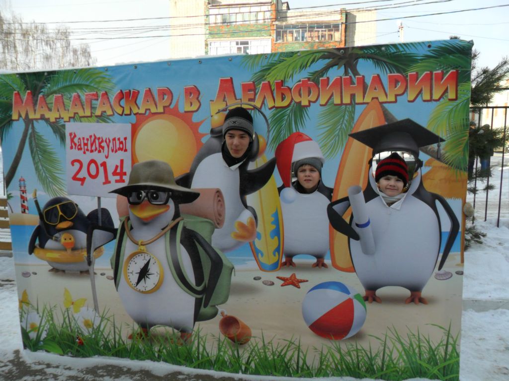 Поездка в дельфинарий