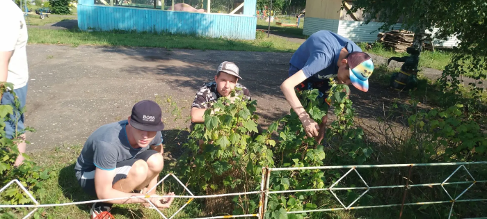 День смородины.