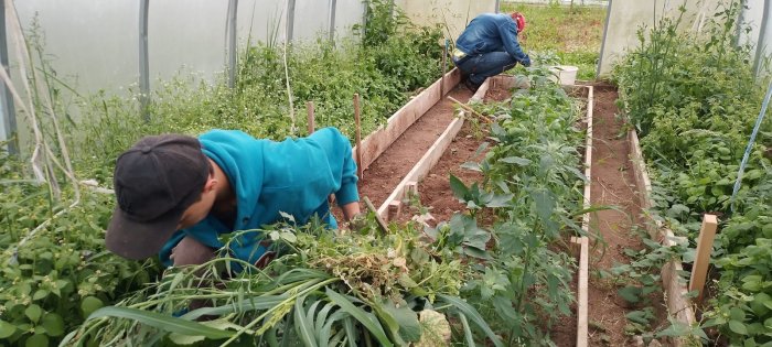 Работа в теплице